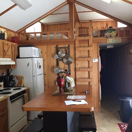 Cozy Cabin On The Bayou Maurepas Экстерьер фото