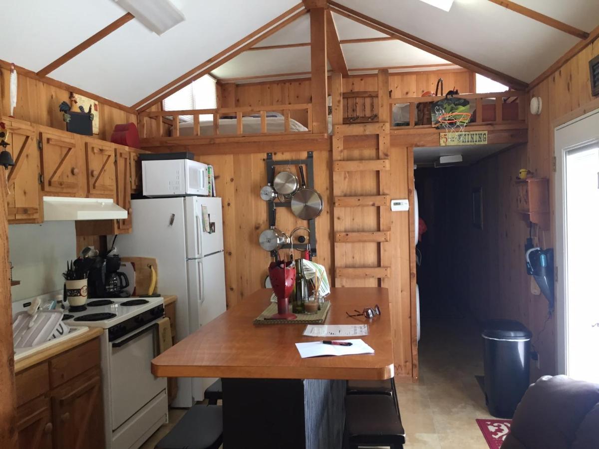 Cozy Cabin On The Bayou Maurepas Экстерьер фото