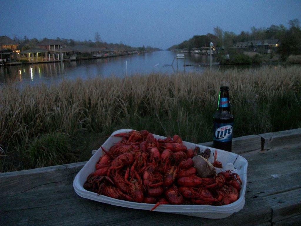 Cozy Cabin On The Bayou Maurepas Экстерьер фото